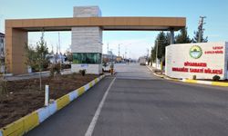 Diyarbakır gözünü Afrika Pazarına dikti