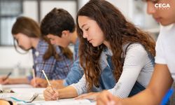 Eczacılık, hukuk ve mimarlığı tercih edecekler üzülecek