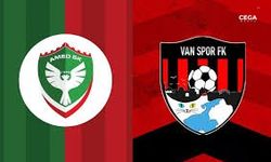 Amedspor’un asbaşkanıydı, yönetime girmedi, sponsor oldu