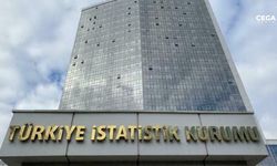 TÜİK 2024 Doğum İstatistiklerini açıkladı