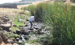 Narin'in cansız bedeni o derede bulundu