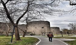 Diyarbakır, Ankara'dan daha fazlasına ev sahipliği yaptı