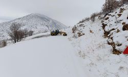 Diyarbakır'da yaklaşık 2 bin kilometrelik yol açıldı