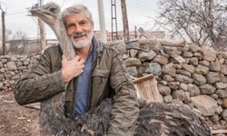Diyarbakır'da kaybolan Devekuşu bakın nereye gitti!