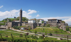 Diyarbakır'da renkli kelimelerdi gençler için mizah oldu