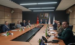 Diyarbakır Eş Başkanı Bucak, Karacadağ Kalkınma Ajansı toplantısında