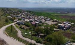 Korku yaşayan buzağı 8 aydır eve dönmüyor