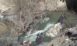 Hakkari'de kayıp kadını arama çalışmaları