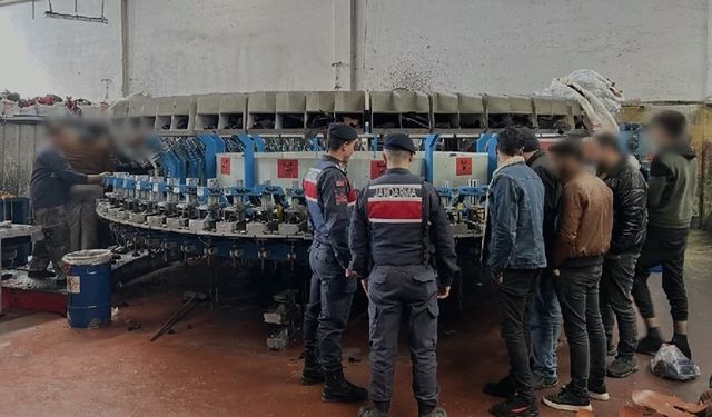 Göçmen operasyonu: 55 göçmen kaçakçısı ve bin 626 düzensiz göçmen yakalandı