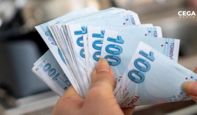 2025 yılında ehliyet, pasaport harcı, trafik cezaları ve IMEI ücretleri ne kadar olacak?