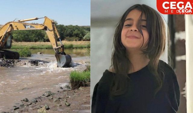 Diyarbakır Narin için yürüyecek, Demirtaş da katılacak