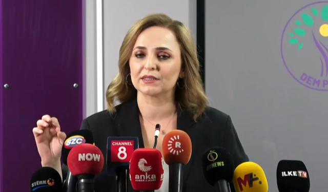 DEM Parti Sözcüsü Doğan: Kayyum uygulamasından geri dönün