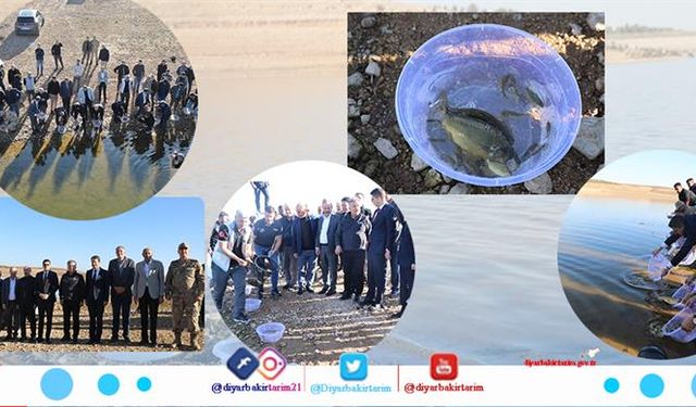 Diyarbakır'a 1 milyon adet bırakılacak