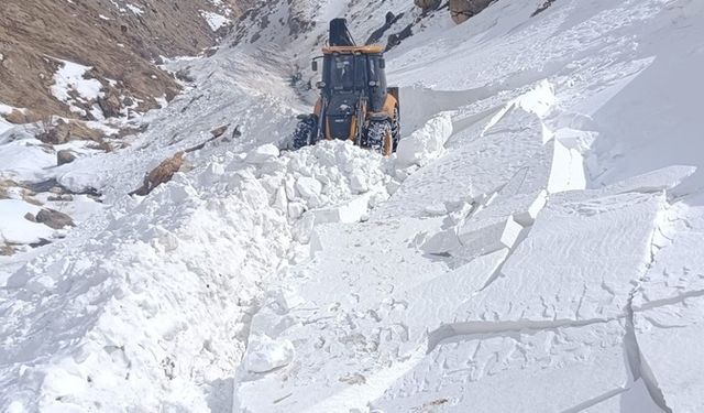 Meteorolojiden 7 il için çığ uyarısı